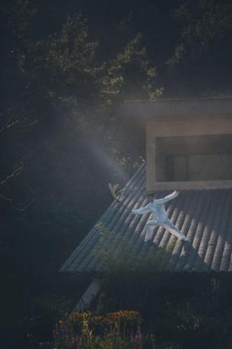 杏林榻榻米排名前十(和室榻榻米十大排名)插图39