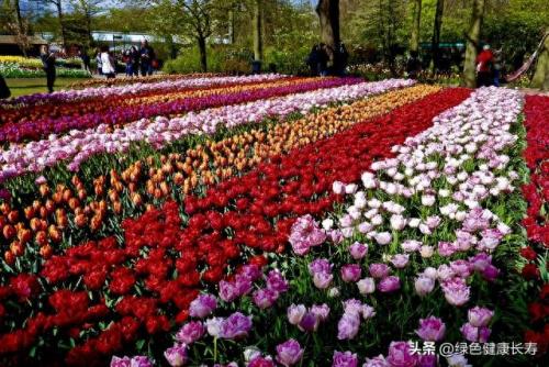 荷兰住宅公园排名前十(荷兰小镇空中别墅)插图73