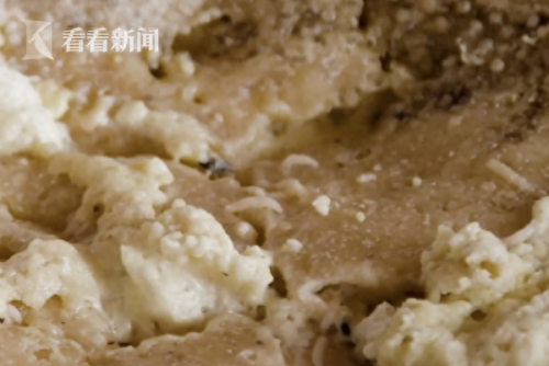 意大利蛆虫乳酪(意大利蛆虫乳酪对人体有害吗)插图3