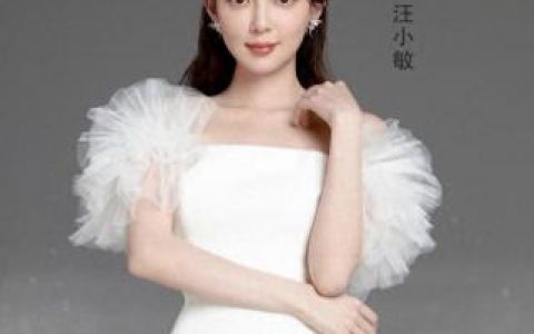不会忘记 汪小敏(汪小敏没有如果)