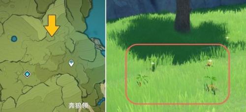 原神蒙德宝箱在哪里(原神蒙德400个宝箱位置)插图2