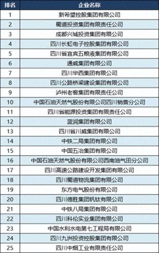 泸州企业排名前十(泸州企业100强名单)插图2