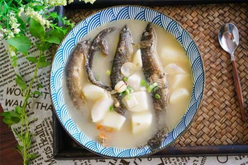 夏天喝什么汤降火(降火汤有哪些)插图1