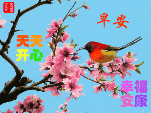 平安顺遂一般送给谁的(平安顺遂图片)插图12