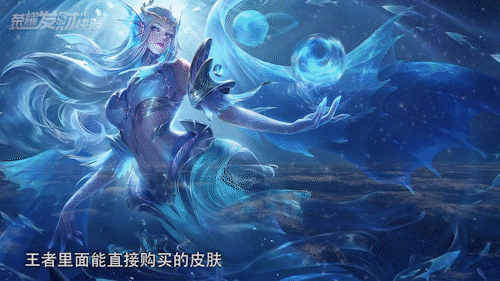 王者荣耀玄武(王者荣耀苏烈玄武志)插图