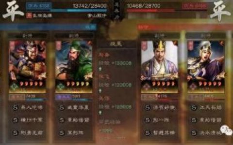 桃园虎卫加点(虎卫桃园盾最强搭配)
