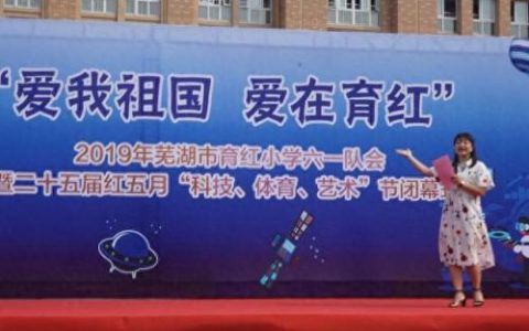 芜湖小学排名前十(芜湖排名第一小学)