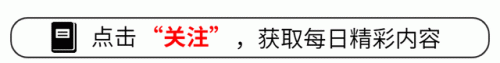 女孩生老鼠(女孩子生了老鼠的事情)插图