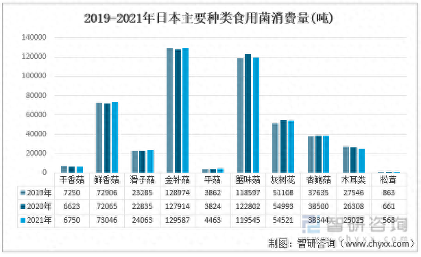 日本蘑菇排名前十(日本蘑菇多少钱一个)插图2