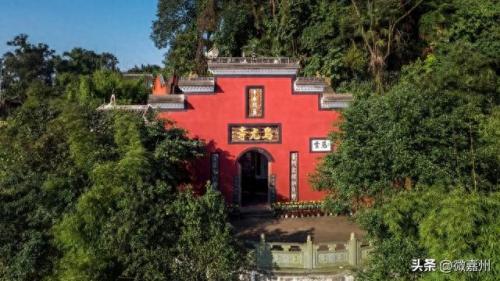排名前十个(前20名排名)插图31