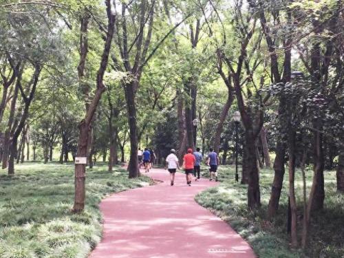 绿地公园排名前十(高家绿地公园)插图