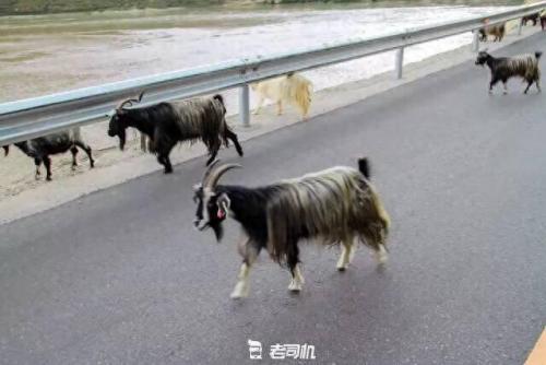 宜昌跑车排名前十(宜昌红色跑车)插图57