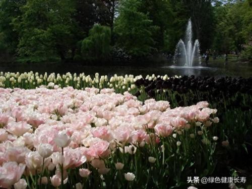 荷兰住宅公园排名前十(荷兰小镇空中别墅)插图47