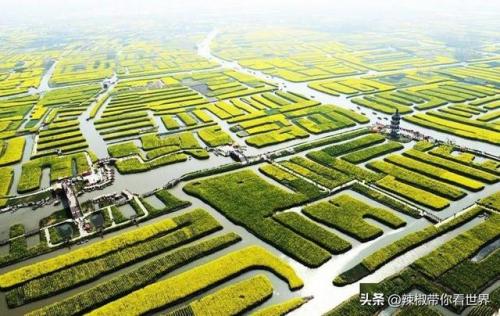 泰州古迹景点排名前十(泰州人文景点排名前十)插图5