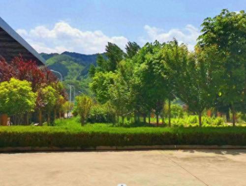商南小区排名前十(商州市最好的高端小区)插图1