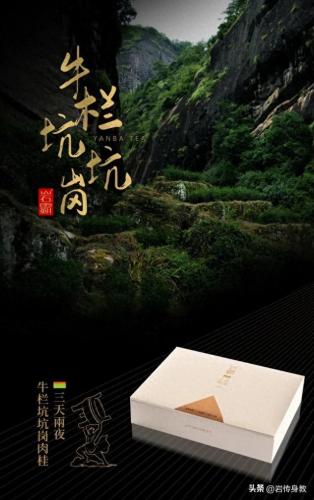 桂皮品牌排名前十(桂皮有哪些功效和用途)插图13