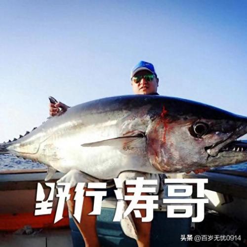 钓鱼大师排名前十(钓鱼大师一览表)插图7
