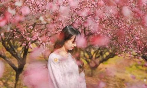 游巴蜀(百万职工游巴蜀卡多少钱)插图5