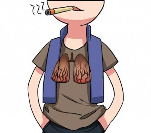 所有杀手排名前十(杀手排行榜前10名)插图7