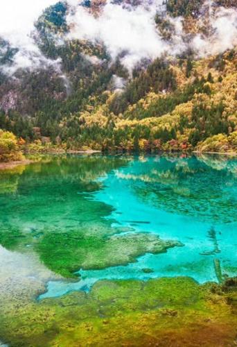 十一长假国内旅游排名前十(十一旅游人数预测)插图1