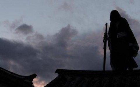 熊猫人武魂排名前十(熊猫人觉醒十个武魂)