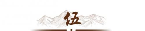 美国馒头公司排名前十(馒头公司简介)插图20