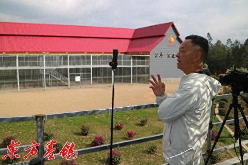 太阳鸟公棚秋棚大(2012年太阳鸟公棚决赛前十名)插图22