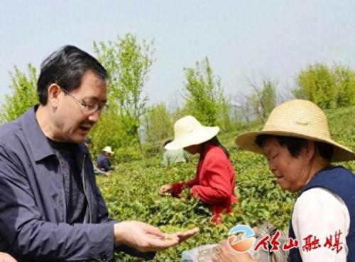 湖北十堰茶叶排名前十(湖北最出名的茶叶)插图1