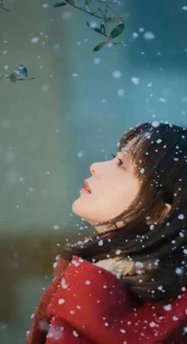 九百九十九朵玫瑰歌词(九百九十九朵玫瑰原唱)插图1