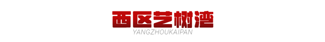 扬州乡村豪宅排名前十(亚洲十大豪宅扬州)插图8