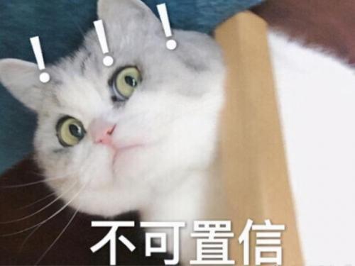 洛克王国水蓝蓝在哪里捉(洛克王国水蓝蓝找不到了)插图8