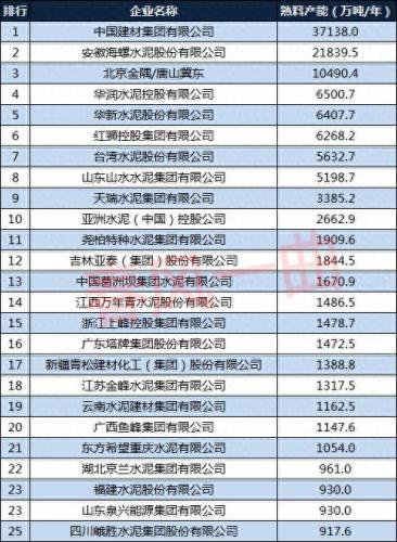 水泥全国排名前十(全国水泥排行榜前50强)插图3