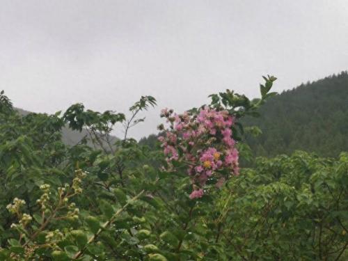 雨后的故事图片(雨中的小故事是什么梗)插图3