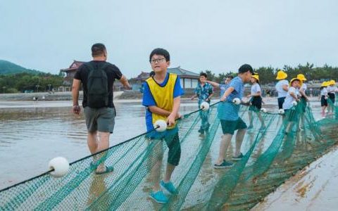 威海集训机构排名前十(威海古典舞艺考集训学校)