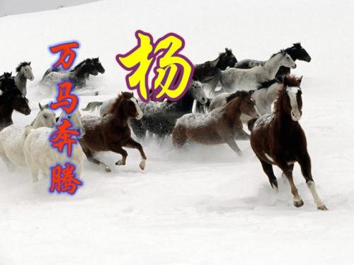 百家姓qq头像(百家姓头像大全真实图)插图21
