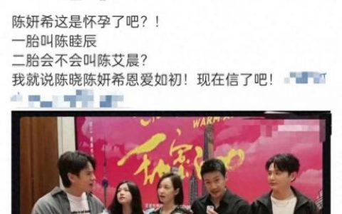 陈妍希怀孕(陈晓陈妍希)
