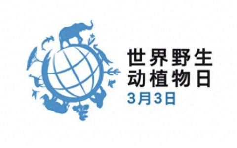 稀有家畜排名前十(中国可以养的稀有家畜)