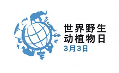 稀有家畜排名前十(中国可以养的稀有家畜)插图