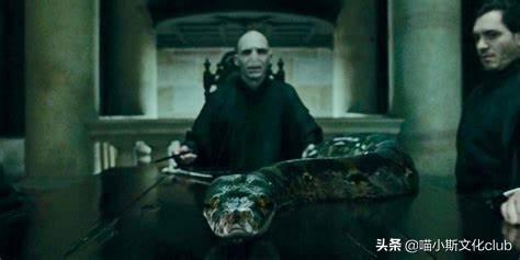克雷登斯是不是伏地魔(克雷登斯怎么死的)插图