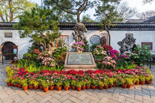 松香产地排名前十(中国十大松香产地)插图11