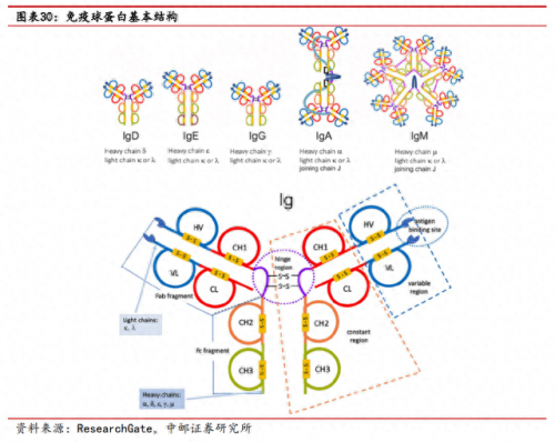 武汉生物制品厂排名前十(武汉十大食品厂)插图22