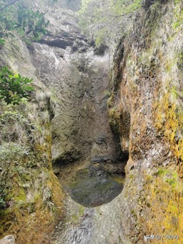 莆田汉堡包加盟排名前十(莆田冷饮加盟总部)插图3