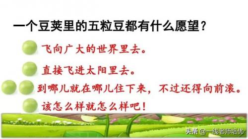 豌怎么组词-(豌可以怎么组词语)插图11