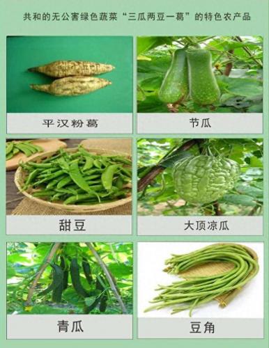 鹤山餐饮排名前十(鹤山快餐热销排行榜)插图4