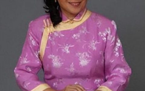 女子古筝排名前十(古筝排行榜20名)