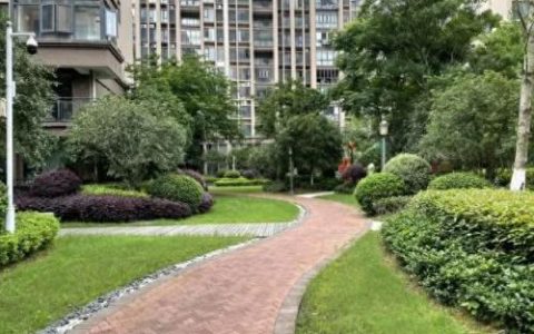 河池楼盘排名前十(河池最好的新楼盘)