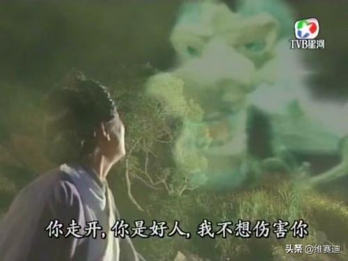封神榜父子情深(封神榜之父子情深完整版)插图15