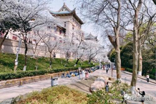 大学航空排名前十(十大垃圾航空排名)插图5