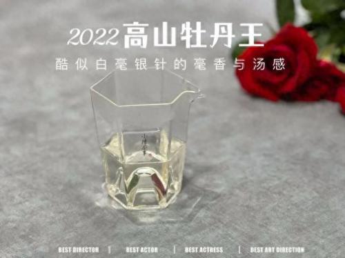 白茶品类排名前十(白茶品牌排名前十名)插图5