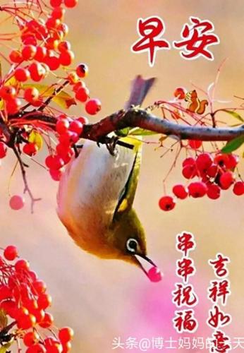 平安顺遂一般送给谁的(平安顺遂图片)插图2